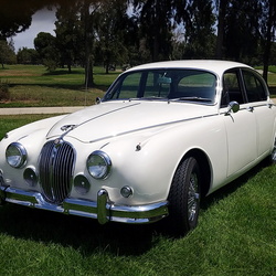 101-1962 Jaguar